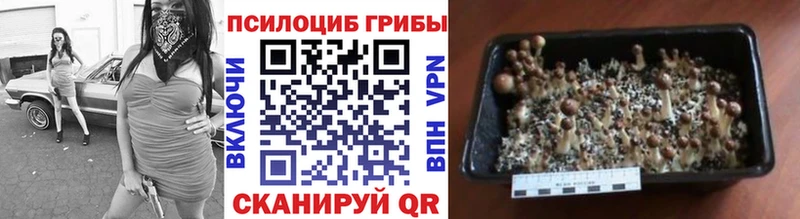 Псилоцибиновые грибы MAGIC MUSHROOMS  купить наркоту  мега зеркало  Пущино 