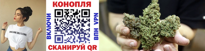 Конопля индика  Пущино 